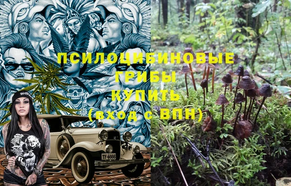 мяу мяу кристалл Алексин