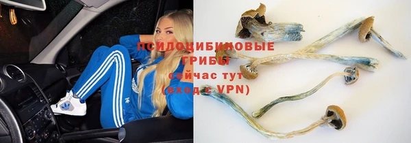 мяу мяу кристалл Алексин