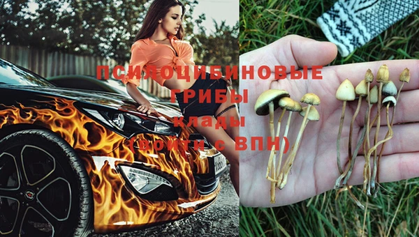 прущая мука Алексеевка
