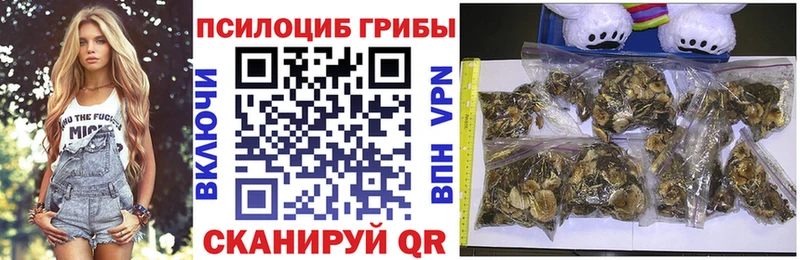 MEGA как зайти  Киреевск  Псилоцибиновые грибы GOLDEN TEACHER 