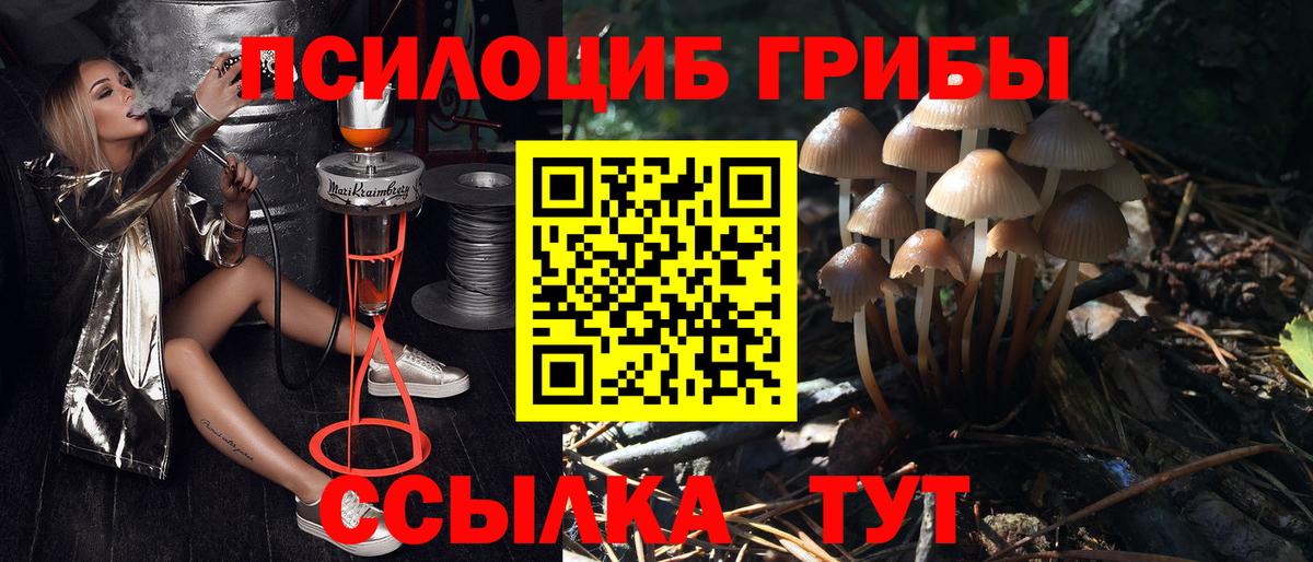 где купить наркоту  Вход с VPN  Киреевск  Псилоцибиновые грибы Magic Shrooms 